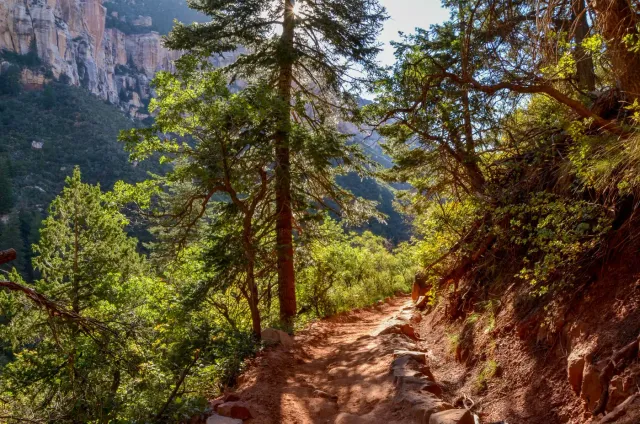Ponderosa pines and open canyon country outside Flagstaff, Arizona — the kind of view lot an open-picket fence keeps and a privacy fence hides